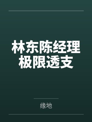 林东陈经理极限透支