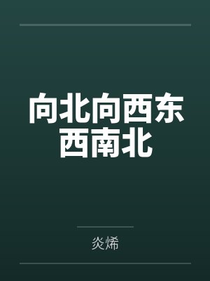 流星雨之夜封面