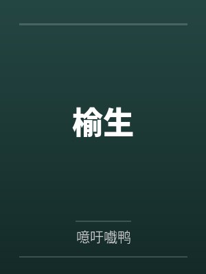 沈天舒杨嬷嬷锦医成凰封面